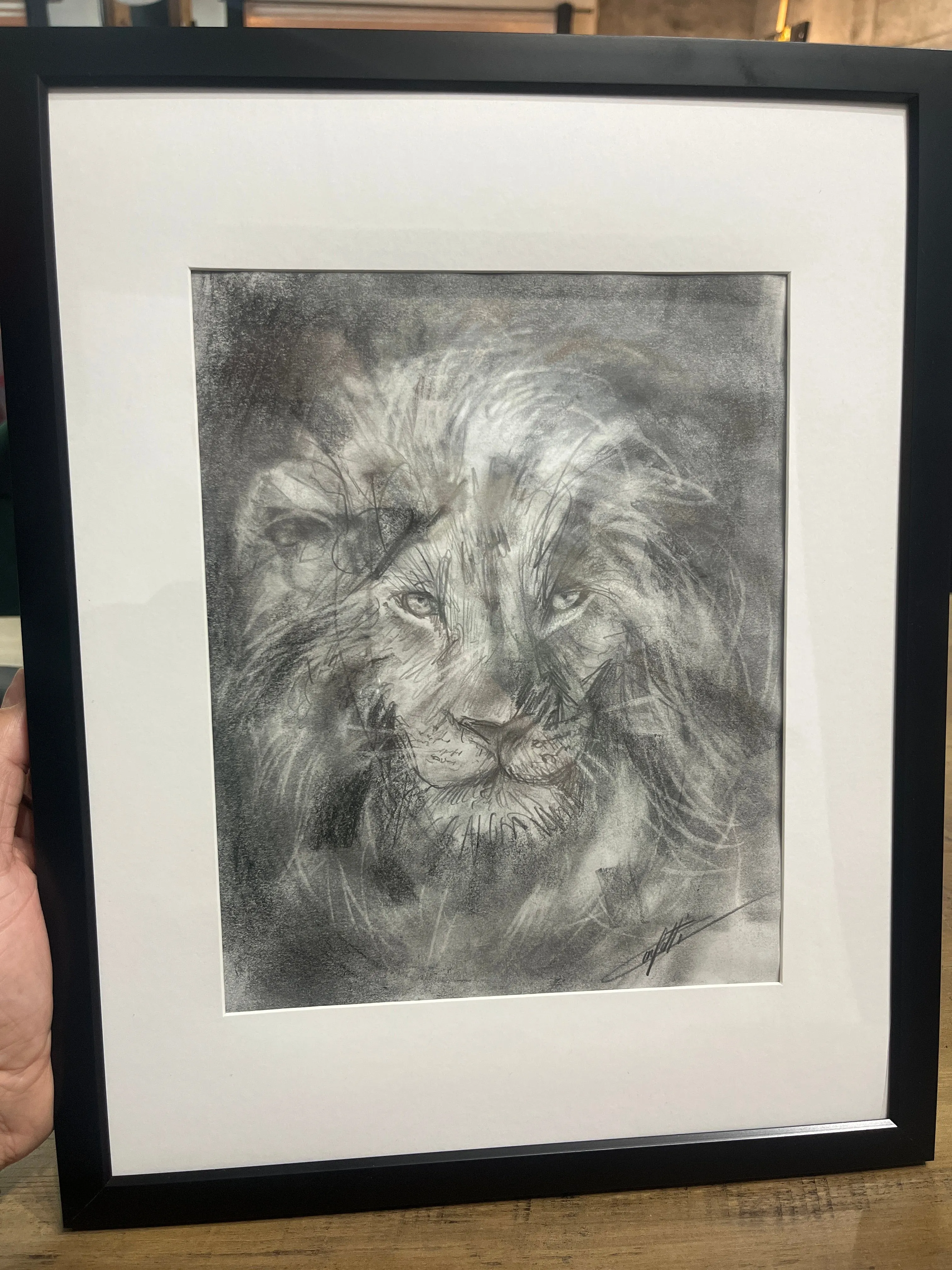 Animal sketch ''The vision of the lion'' sketching study of the artist Confetti in graphite pencil on paper