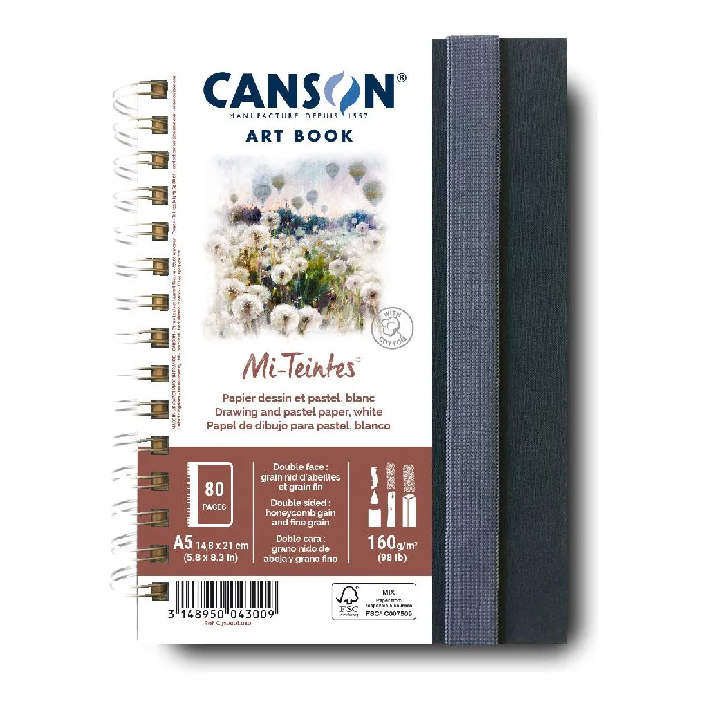 Canson Mi-Teintes Art Book