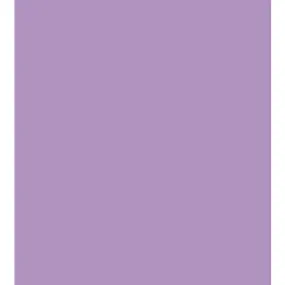 Colorline Paper Sheets 8.5in x 11in 150gsm Lilac