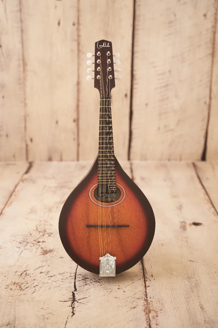 Landslide HM-1 Mandolin