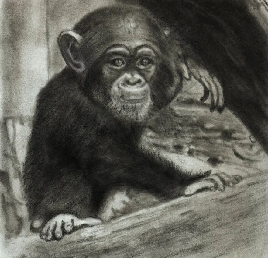 Learn How to Draw Portraits of African Animals in Charcoal For the Beginner