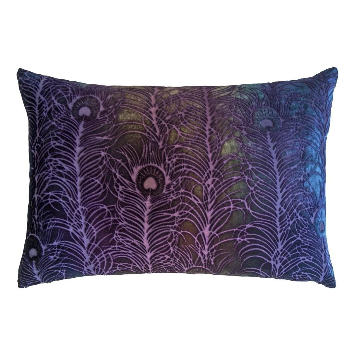 Peacock Feather Pillow by Kevin O'Brien Studio