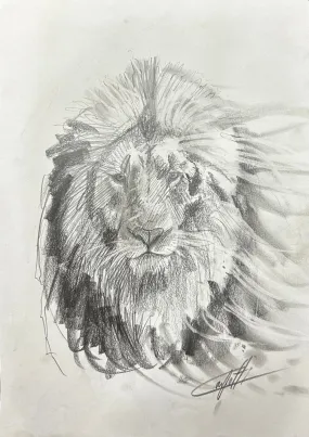 Sketch with charcoal pencil, ''Luminous lion study'' by the artist confetti