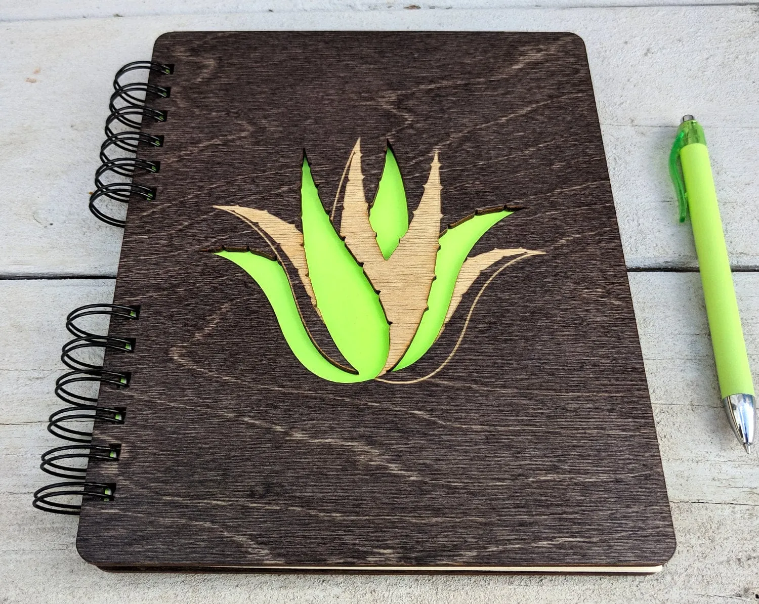 Succulent Plant | Journal