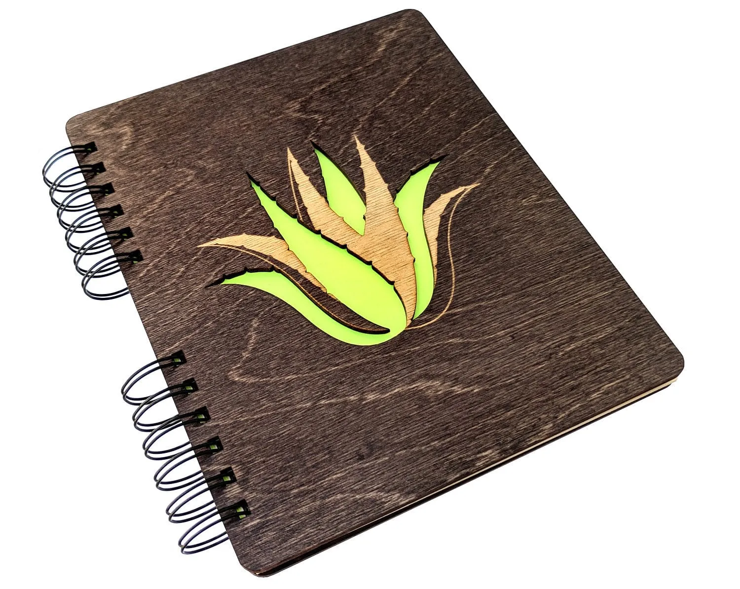 Succulent Plant | Journal