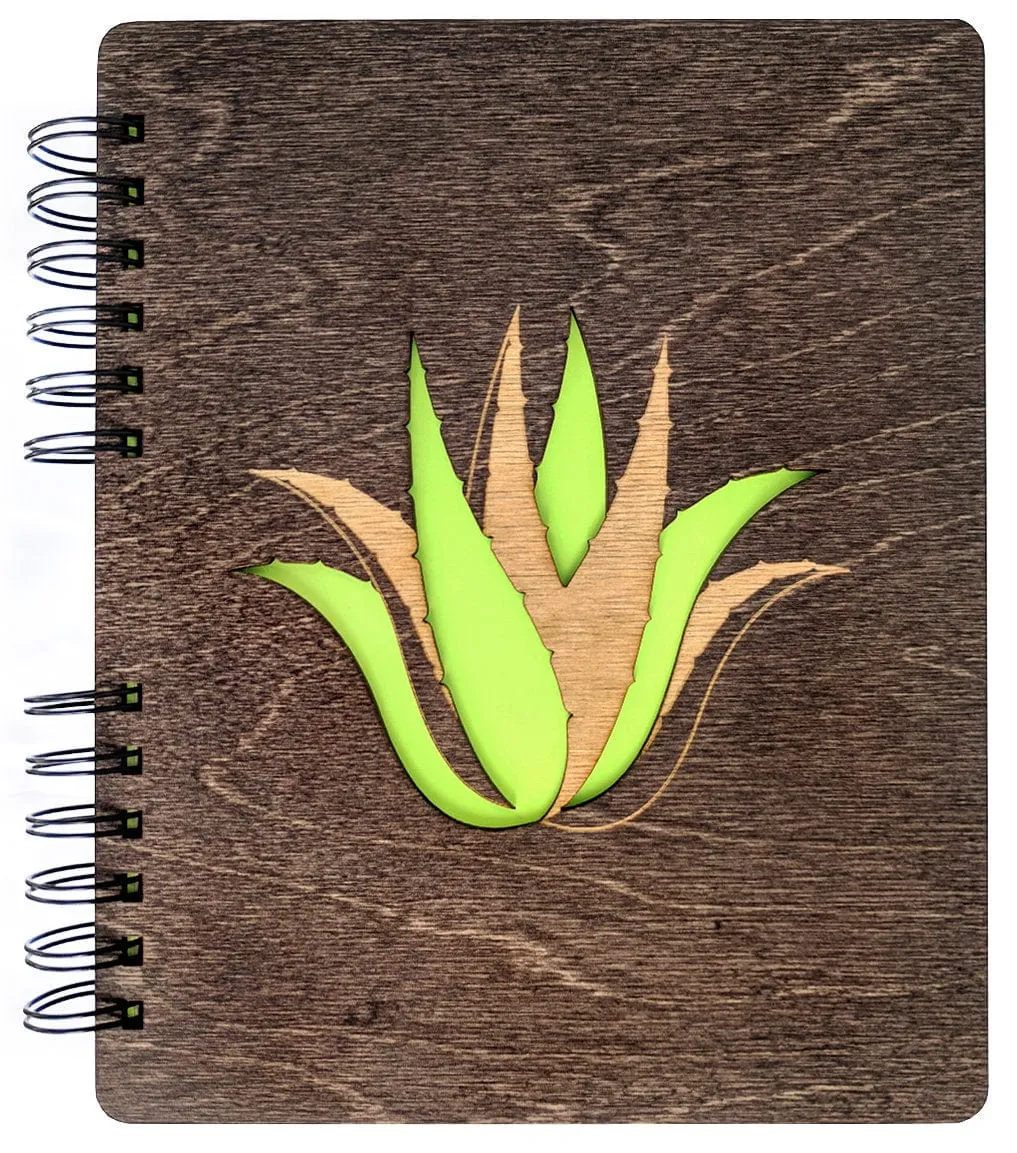 Succulent Plant | Journal