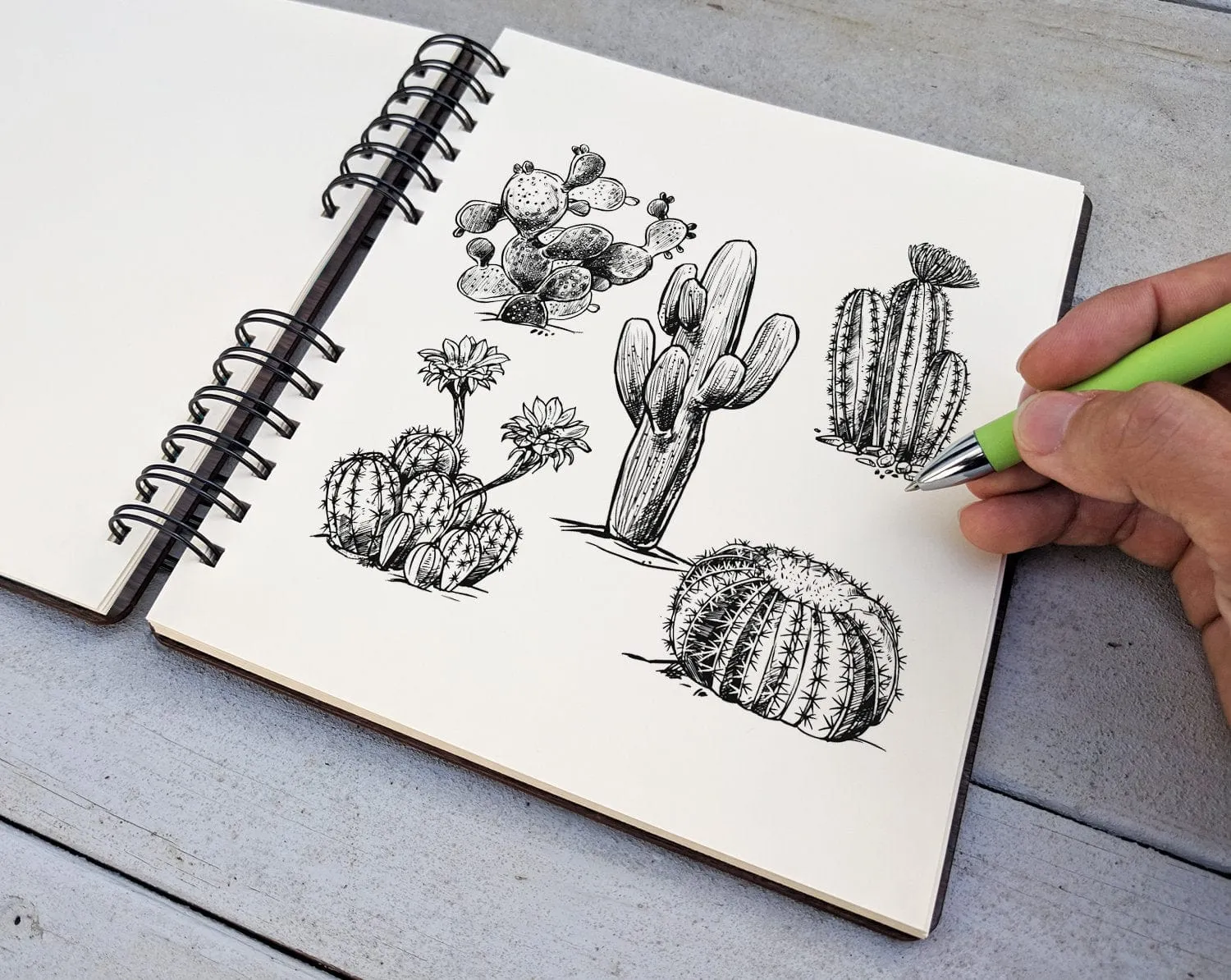 Succulent Plant | Journal