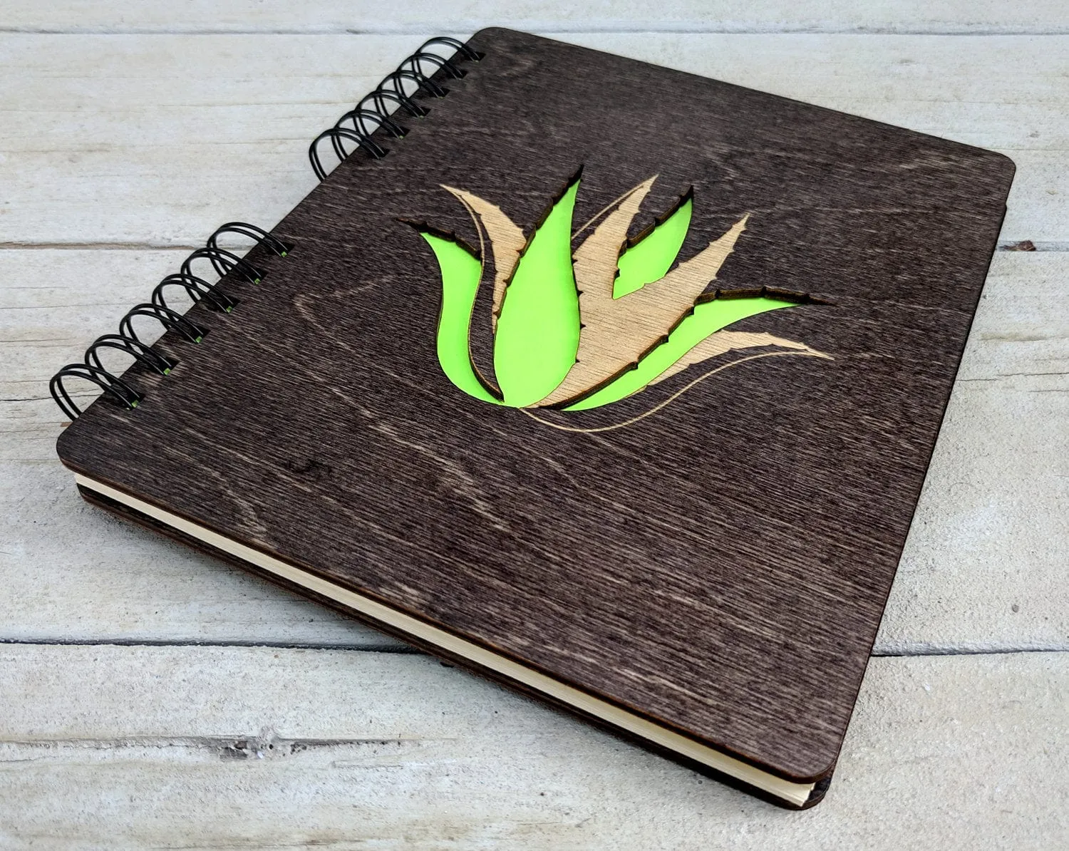 Succulent Plant | Journal