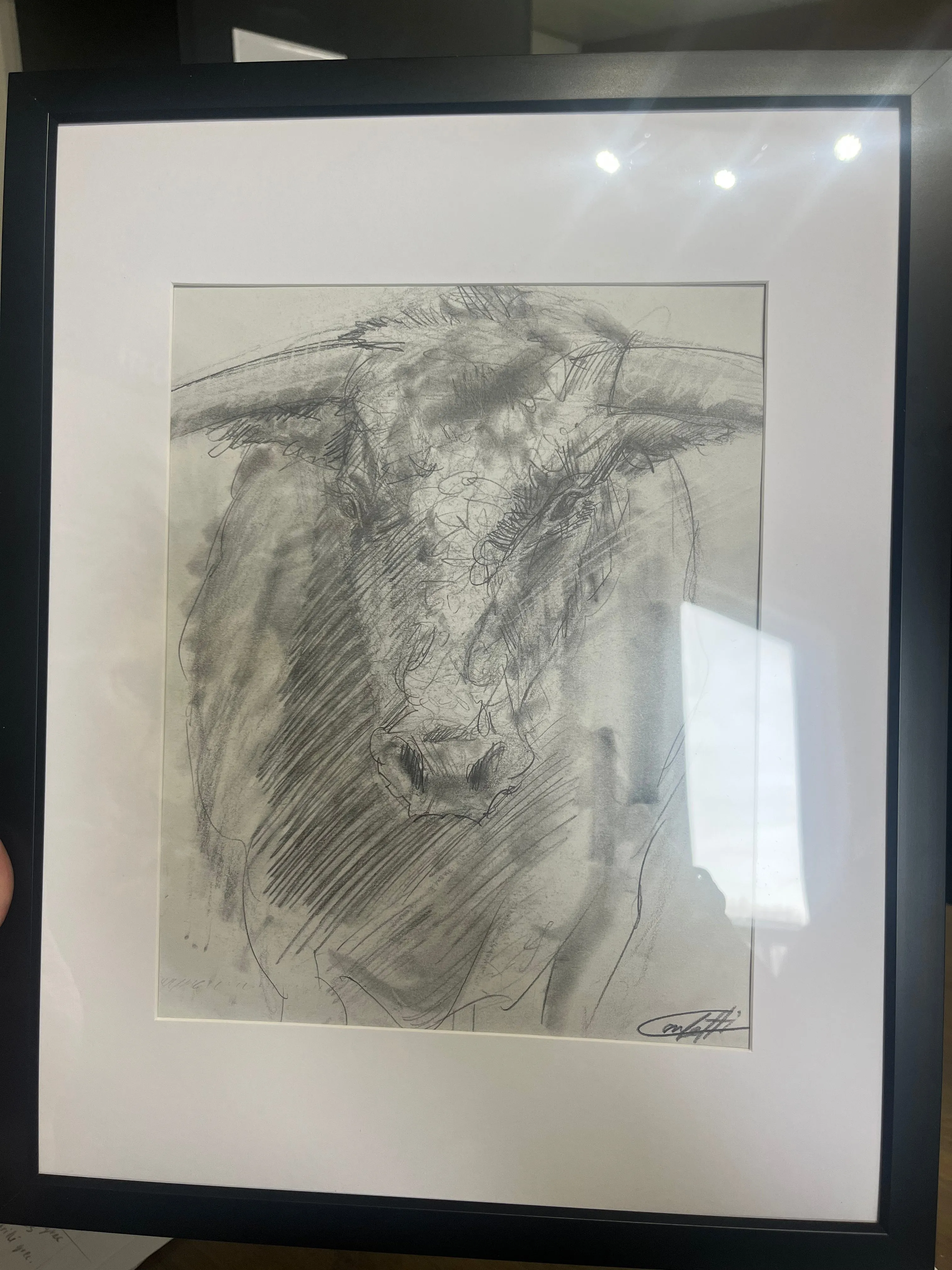 Trattorio the bull sketch study by the artist Confetti in graphite pencil on paper