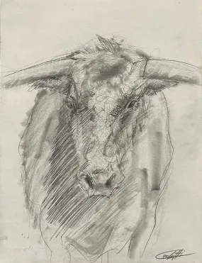 Trattorio the bull sketch study by the artist Confetti in graphite pencil on paper